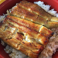 鰻 若松 - 