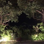 海のしょうげつ - 夕食の時の外の風景です。