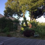 海のしょうげつ - 食事処の朝の風景です。