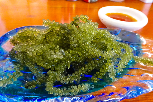 琉球泉風 name=