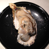 本等鮨 海馬 本店 - 牡蠣