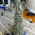 中国料理 「王朝」 - 2010/12/5(日)館内のクリスマスツリー