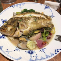 Osteria OLMO - 