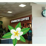 Starbucks Coffee - 