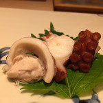 鮓 きずな - 201612再訪  明石冬蛸、蛸の頭