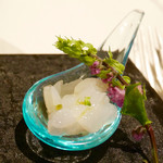 Vv.lab - 2016/10/23  アオリイカのアップ♪♪♪