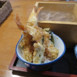 のらや - わがままセットミニ天丼+¥200