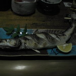 お食事処 青木 - カマス塩焼