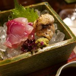 比良山荘 - 鯉の造り＆鰻の焼霜