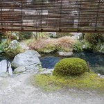 比良山荘 - 鯉が沢山泳いています！