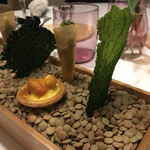 プレヴナンス - 