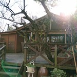 たぶの木 タブノキ 越後赤塚 コーヒー専門店 食べログ