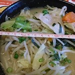 Gasuto - 1日分の野菜のベジ塩タンメン755円　丼の直径17ｃｍ