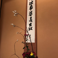 御懐石 志ら玉 - 