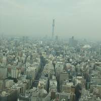 広東料理 センス - 窓の外には建設中のスカイツリー