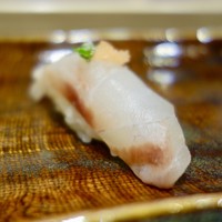 寿司割烹 魚紋 - ［2016/12］寿司③ 天然石垣鯛の握り