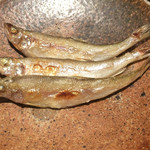 本ししゃも_アップ