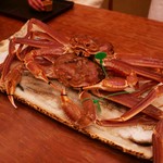 緒方 - 16.12月　間人ガニ