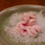 緒方 - 16.12月　雲子