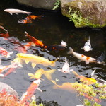 東京 芝 とうふ屋うかい - 