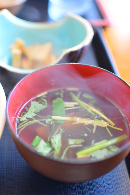 信夫庵（シノブアン） - 小柳（麺類）の写真