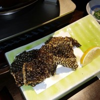 土佐料理 祢保希 新宿店 - 