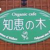 知恵の木