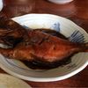 魚料理 いず松陰
