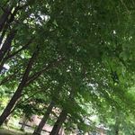 那須高原蕎麦 石心 - 