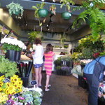 South Melbourne Market - 癒されるね～