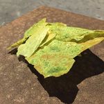 フロリレージュ - 