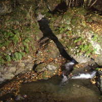 洛雲荘 - 綺麗な川のせせらぎを聞きながら～
