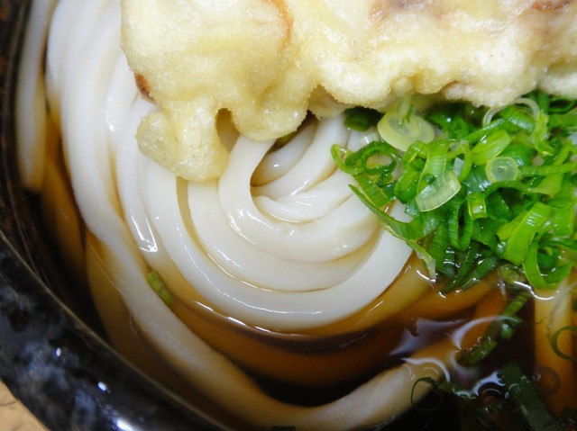 閉店】讃岐うどん 志のん （しのん） - 天王寺/うどん | 食べログ
