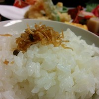 割烹 とんぼ - ちりめん山椒ぱらりとかけて