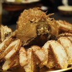 乃り英 - 毛蟹
      
      2016.12撮影