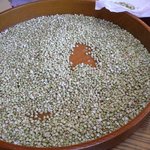 狭山 翁 - 蕎麦の実