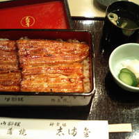 かぐら坂 志満金 - 鰻丼「雅」
