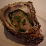 湯浅産牡蠣を白ワインのジュレとクレソンのビュレと共に