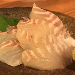 セトダイ造り('16.11)