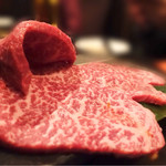 SATOブリアン - 2016/11_ヒレ