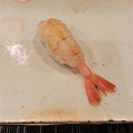 鮨匠 のむら - ナミクダヒゲエビ