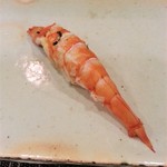 鮨匠 のむら - 車海老