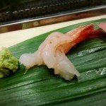 Sushi Fujiwara - 