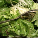 炭火焼と旬のおさかな 菜の花 - 菜の花サラダ