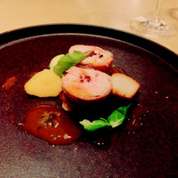 MOTORA  - 