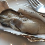 シュリンプ＆オイスターハウス - 生牡蠣1ピース