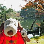 兼六園 三芳庵 - 兼六園といえばこの霞ヶ池の徽軫灯籠（ことじとうろう）が
      有名だよね。普通の灯篭は足が三股だけど、
      この灯篭は二股になってて珍しいんだよ。
      この前で記念撮影する人が多いです。