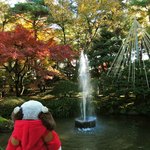 兼六園 三芳庵 - この噴水は日本で最古の噴水なんだって。