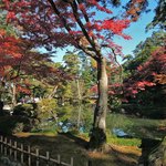 兼六園 三芳庵 - 写真には写らないようにしてるけど、
      観光客の数もすごいです。
      外国からのお客さんも多かったよ。