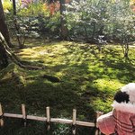兼六園 三芳庵 - さすがは日本三大名園の一つだね～
      見事な庭園だよ。
